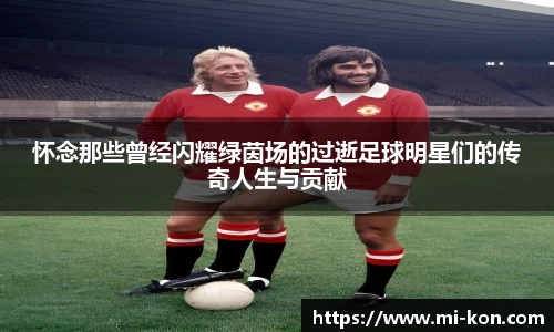 zoty中欧有限公司